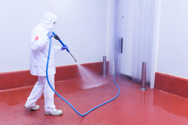 Trusted Redwater, TX Pressure Washing Services Experts
